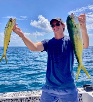 Mahi Mahi in Shalimar, FL